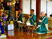 ��y�@�@�����R�@�����@�@�@�����i�Ȗ،������s���s�j�z�[���y�[�W