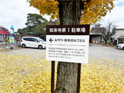 ��y�@�@�����R�@�����@�@�@�����i�Ȗ،������s���s�j�z�[���y�[�W