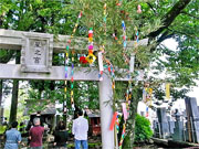 ��y�@�@�����R�@�����@�@�@�����i�Ȗ،������s���s�j�z�[���y�[�W