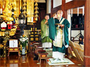 ��y�@�@�����R�@�����@�@�@�����i�Ȗ،������s���s�j�z�[���y�[�W