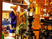 ��y�@�@�����R�@�����@�@�@�����i�Ȗ،������s���s�j�z�[���y�[�W