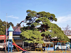 ��y�@�@�����R�@�����@�@�@�����i�Ȗ،������s���s�j�z�[���y�[�W