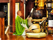 ��y�@�@�����R�@�����@�@�@�����i�Ȗ،������s���s�j�z�[���y�[�W