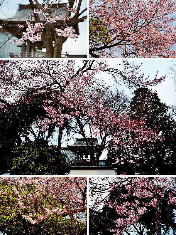 ��y�@�@�����R�@�����@�@�@�����i�Ȗ،������s���s�j�z�[���y�[�W