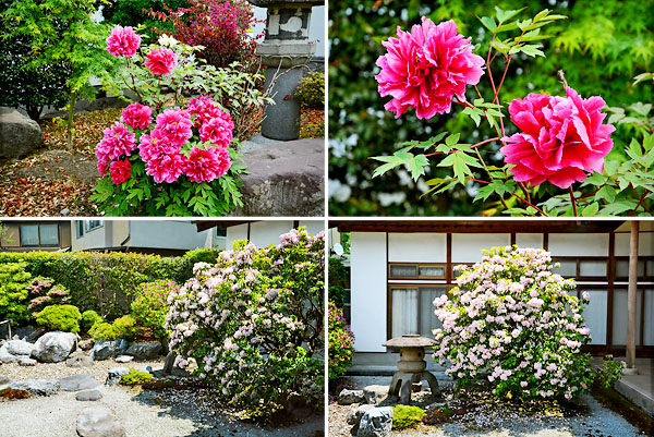 ��y�@�@�����R�@�����@�@�@�����i�Ȗ،������s���s�j�z�[���y�[�W