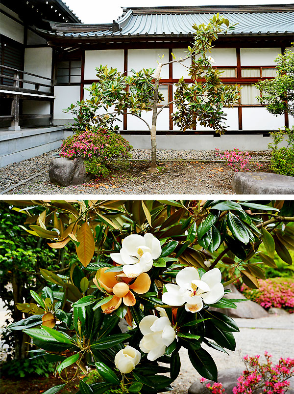 ��y�@�@�����R�@�����@�@�@�����i�Ȗ،������s���s�j�z�[���y�[�W