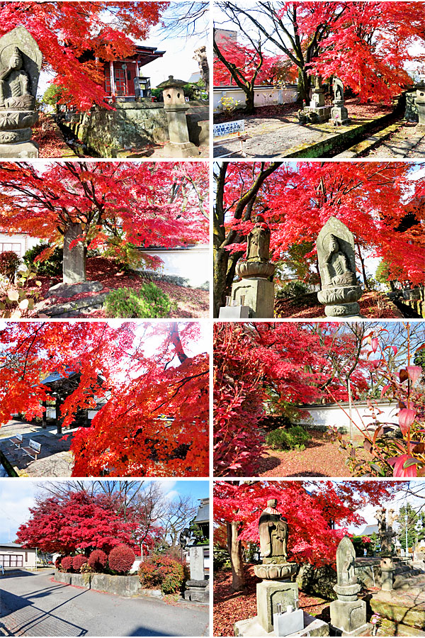 ��y�@�@�����R�@�����@�@�@�����i�Ȗ،������s���s�j�z�[���y�[�W