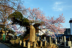 ��y�@�@�����R�@�����@�@�@�����i�Ȗ،������s���s�j�z�[���y�[�W