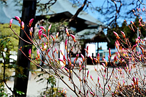 ��y�@�@�����R�@�����@�@�@�����i�Ȗ،������s���s�j�z�[���y�[�W