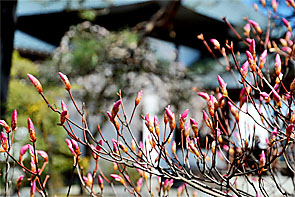 ��y�@�@�����R�@�����@�@�@�����i�Ȗ،������s���s�j�z�[���y�[�W