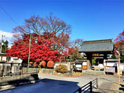 ��y�@�@�����R�@�����@�@�@�����i�Ȗ،������s���s�j�z�[���y�[�W