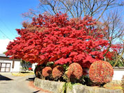 ��y�@�@�����R�@�����@�@�@�����i�Ȗ،������s���s�j�z�[���y�[�W