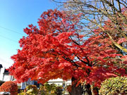 ��y�@�@�����R�@�����@�@�@�����i�Ȗ،������s���s�j�z�[���y�[�W