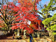 ��y�@�@�����R�@�����@�@�@�����i�Ȗ،������s���s�j�z�[���y�[�W