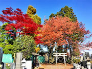 ��y�@�@�����R�@�����@�@�@�����i�Ȗ،������s���s�j�z�[���y�[�W