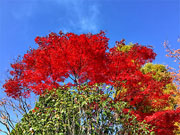 ��y�@�@�����R�@�����@�@�@�����i�Ȗ،������s���s�j�z�[���y�[�W