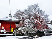 ��y�@�@�����R�@�����@�@�@�����i�Ȗ،������s���s�j�z�[���y�[�W