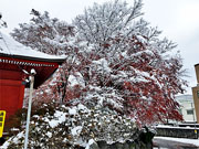 ��y�@�@�����R�@�����@�@�@�����i�Ȗ،������s���s�j�z�[���y�[�W