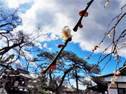 ��y�@�@�����R�@�����@�@�@�����i�Ȗ،������s���s�j�z�[���y�[�W