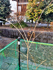 ��y�@�@�����R�@�����@�@�@�����i�Ȗ،������s���s�j�z�[���y�[�W