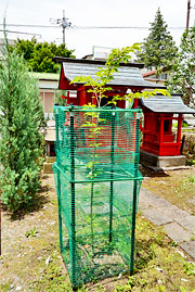 ��y�@�@�����R�@�����@�@�@�����i�Ȗ،������s���s�j�z�[���y�[�W