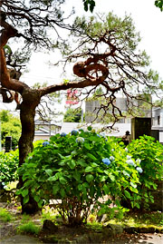 ��y�@�@�����R�@�����@�@�@�����i�Ȗ،������s���s�j�z�[���y�[�W