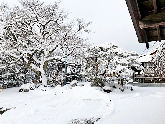 ��y�@�@�����R�@�����@�@�@�����i�Ȗ،������s���s�j�z�[���y�[�W