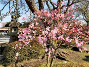 ��y�@�@�����R�@�����@�@�@�����i�Ȗ،������s���s�j�z�[���y�[�W