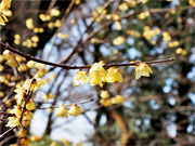 ��y�@�@�����R�@�����@�@�@�����i�Ȗ،������s���s�j�z�[���y�[�W