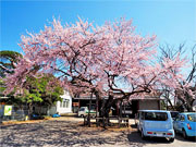 ��y�@�@�����R�@�����@�@�@�����i�Ȗ،������s���s�j�z�[���y�[�W