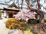 ��y�@�@�����R�@�����@�@�@�����i�Ȗ،������s���s�j�z�[���y�[�W