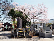 ��y�@�@�����R�@�����@�@�@�����i�Ȗ،������s���s�j�z�[���y�[�W