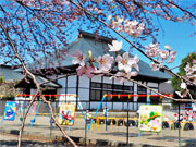 ��y�@�@�����R�@�����@�@�@�����i�Ȗ،������s���s�j�z�[���y�[�W