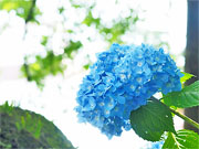 ��y�@�@�����R�@�����@�@�@�����i�Ȗ،������s���s�j�z�[���y�[�W