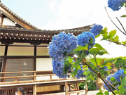 ��y�@�@�����R�@�����@�@�@�����i�Ȗ،������s���s�j�z�[���y�[�W