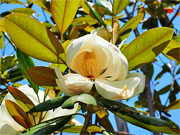 ��y�@�@�����R�@�����@�@�@�����i�Ȗ،������s���s�j�z�[���y�[�W