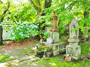 ��y�@�@�����R�@�����@�@�@�����i�Ȗ،������s���s�j�z�[���y�[�W