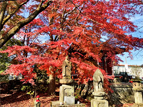 ��y�@�@�����R�@�����@�@�@�����i�Ȗ،������s���s�j�z�[���y�[�W