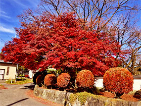 ��y�@�@�����R�@�����@�@�@�����i�Ȗ،������s���s�j�z�[���y�[�W