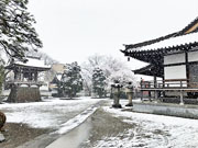 ��y�@�@�����R�@�����@�@�@�����i�Ȗ،������s���s�j�z�[���y�[�W