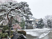 ��y�@�@�����R�@�����@�@�@�����i�Ȗ،������s���s�j�z�[���y�[�W