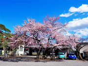 ��y�@�@�����R�@�����@�@�@�����i�Ȗ،������s���s�j�z�[���y�[�W