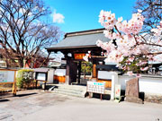 ��y�@�@�����R�@�����@�@�@�����i�Ȗ،������s���s�j�z�[���y�[�W