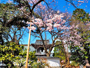 ��y�@�@�����R�@�����@�@�@�����i�Ȗ،������s���s�j�z�[���y�[�W