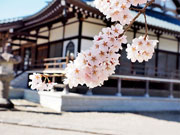 ��y�@�@�����R�@�����@�@�@�����i�Ȗ،������s���s�j�z�[���y�[�W