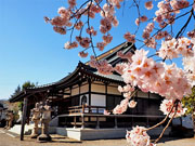 ��y�@�@�����R�@�����@�@�@�����i�Ȗ،������s���s�j�z�[���y�[�W