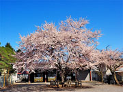 ��y�@�@�����R�@�����@�@�@�����i�Ȗ،������s���s�j�z�[���y�[�W