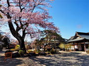 ��y�@�@�����R�@�����@�@�@�����i�Ȗ،������s���s�j�z�[���y�[�W