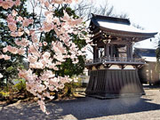 ��y�@�@�����R�@�����@�@�@�����i�Ȗ،������s���s�j�z�[���y�[�W