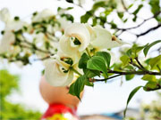 ��y�@�@�����R�@�����@�@�@�����i�Ȗ،������s���s�j�z�[���y�[�W